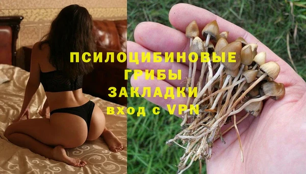 экстази Алзамай