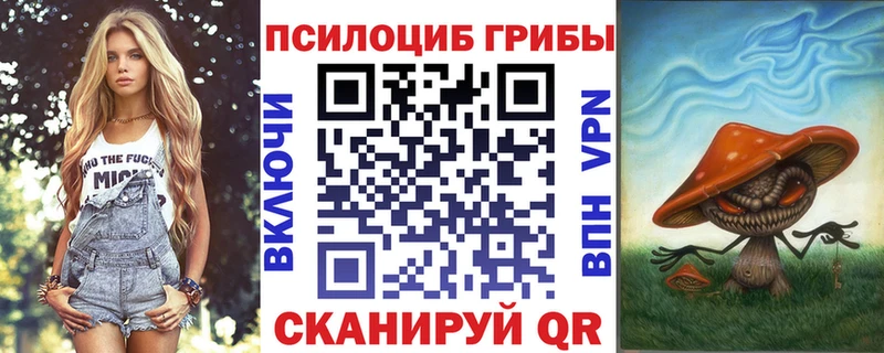 Галлюциногенные грибы прущие грибы  наркошоп  Ардатов 